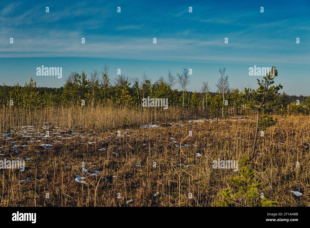 Moss mat hi-res stock photography and images - Alamy