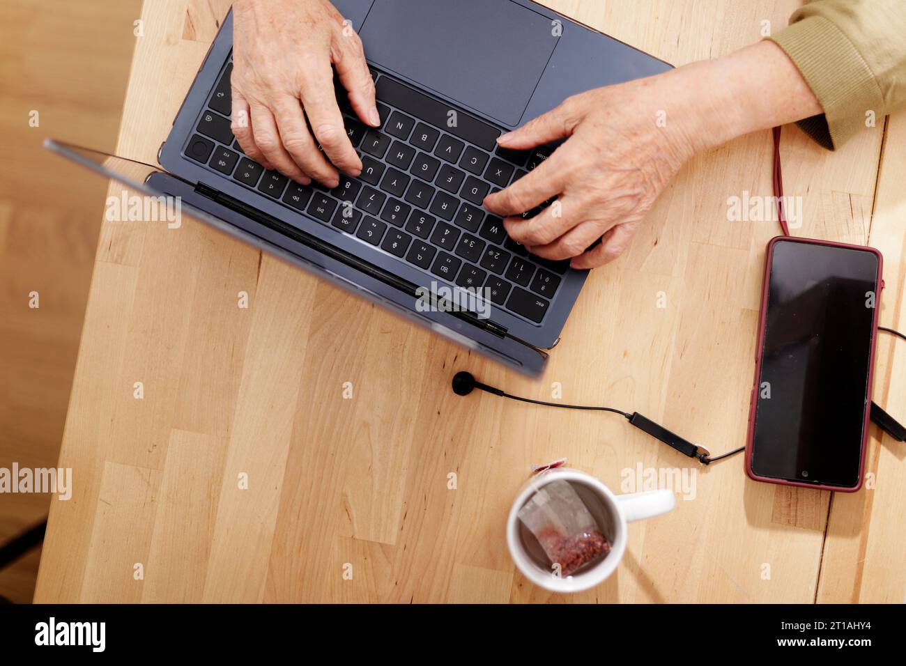 flat lay of older woman's hands using the laptop Stock Photo