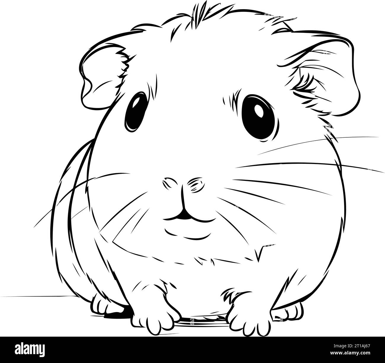 Illustration of guinea pig on a white background. Vector illustration ...