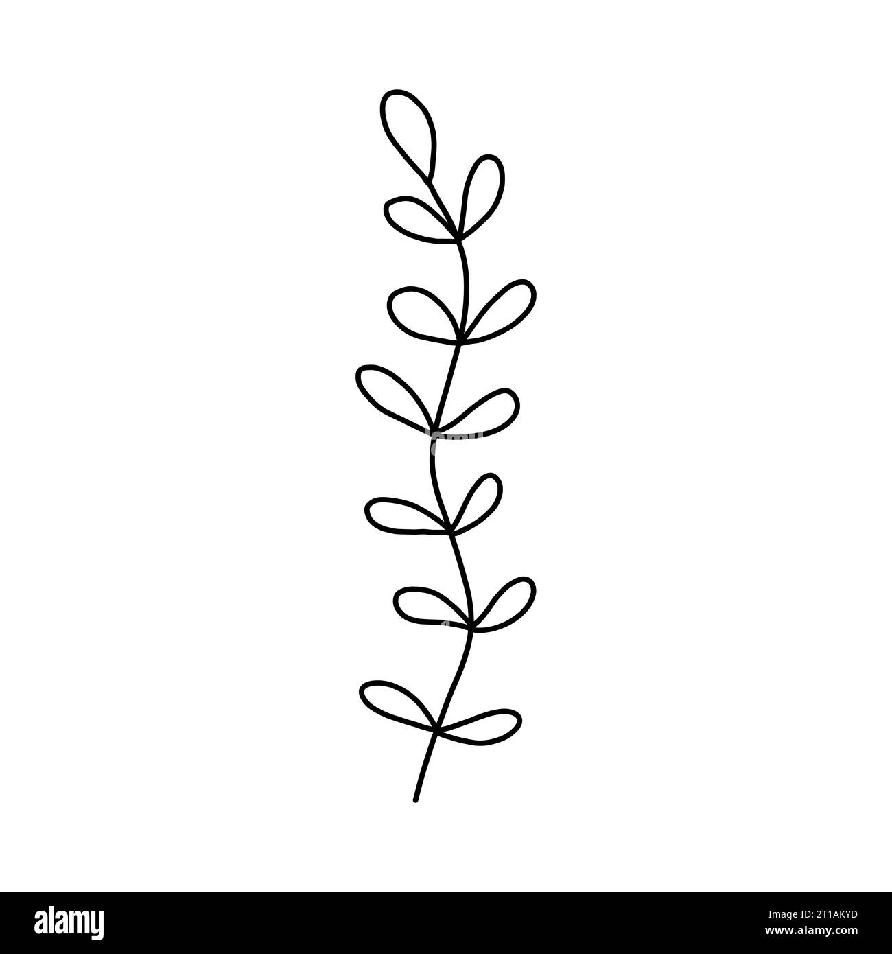 Leaves and twigs on an isolated white background Stock Vector Image ...