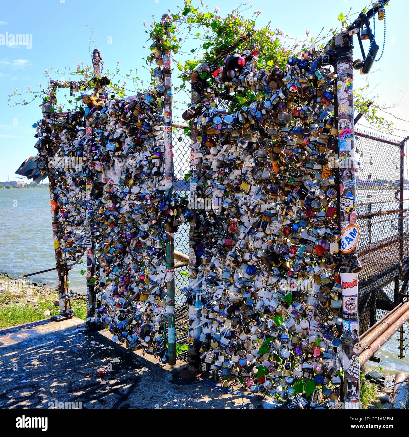 Love Wins Locks in New Orleans on the Mississippi River Stock Photo