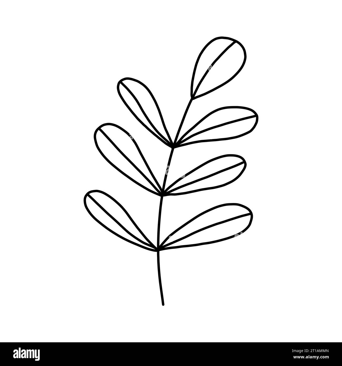 Leaves and twigs on an isolated white background Stock Vector Image ...