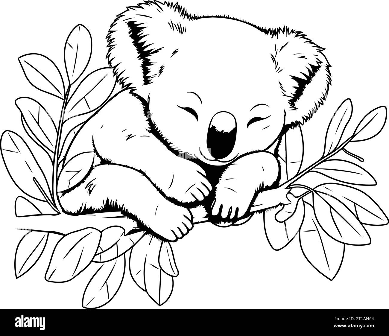 Cute koala sleeping on a branch with leaves. Vector illustration Stock