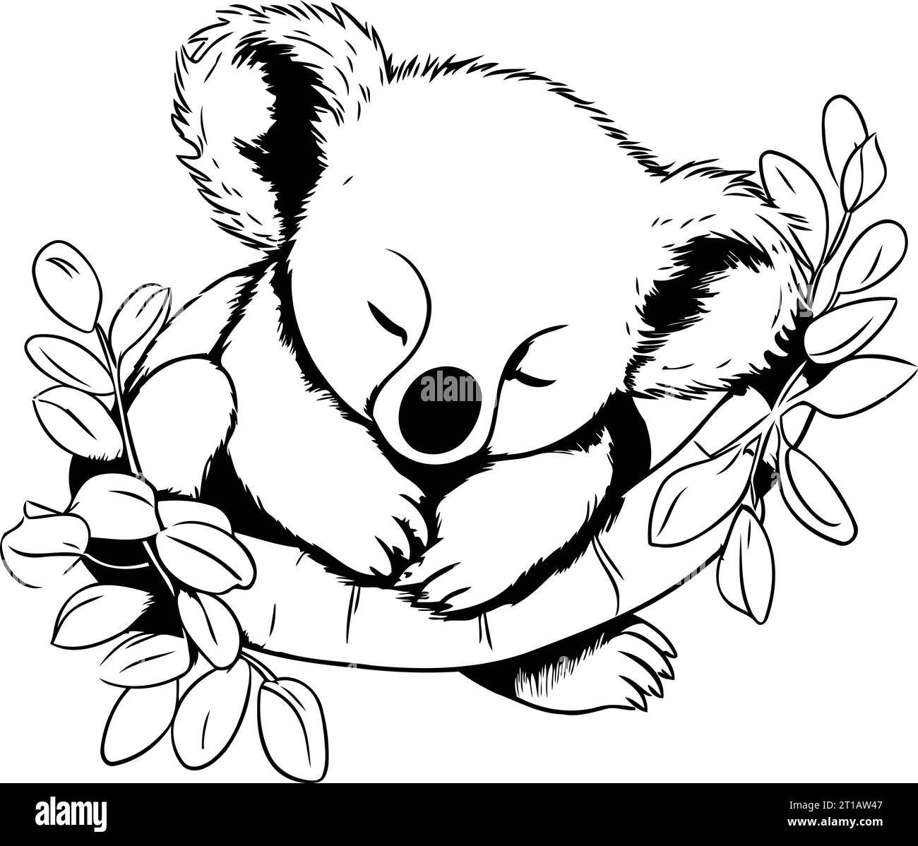 Cute koala sleeping on a branch with leaves. Vector illustration Stock
