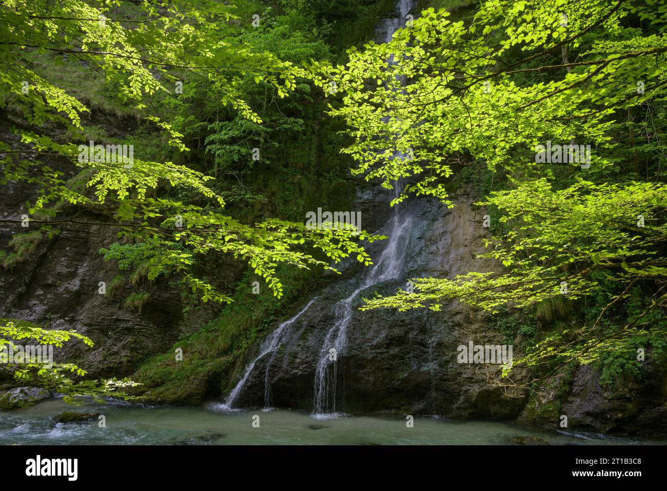 Small waterfall falls into the Erlauf, Tormaeuer hike, Puchenstuben, Lower Austria, Austria Stock Photo