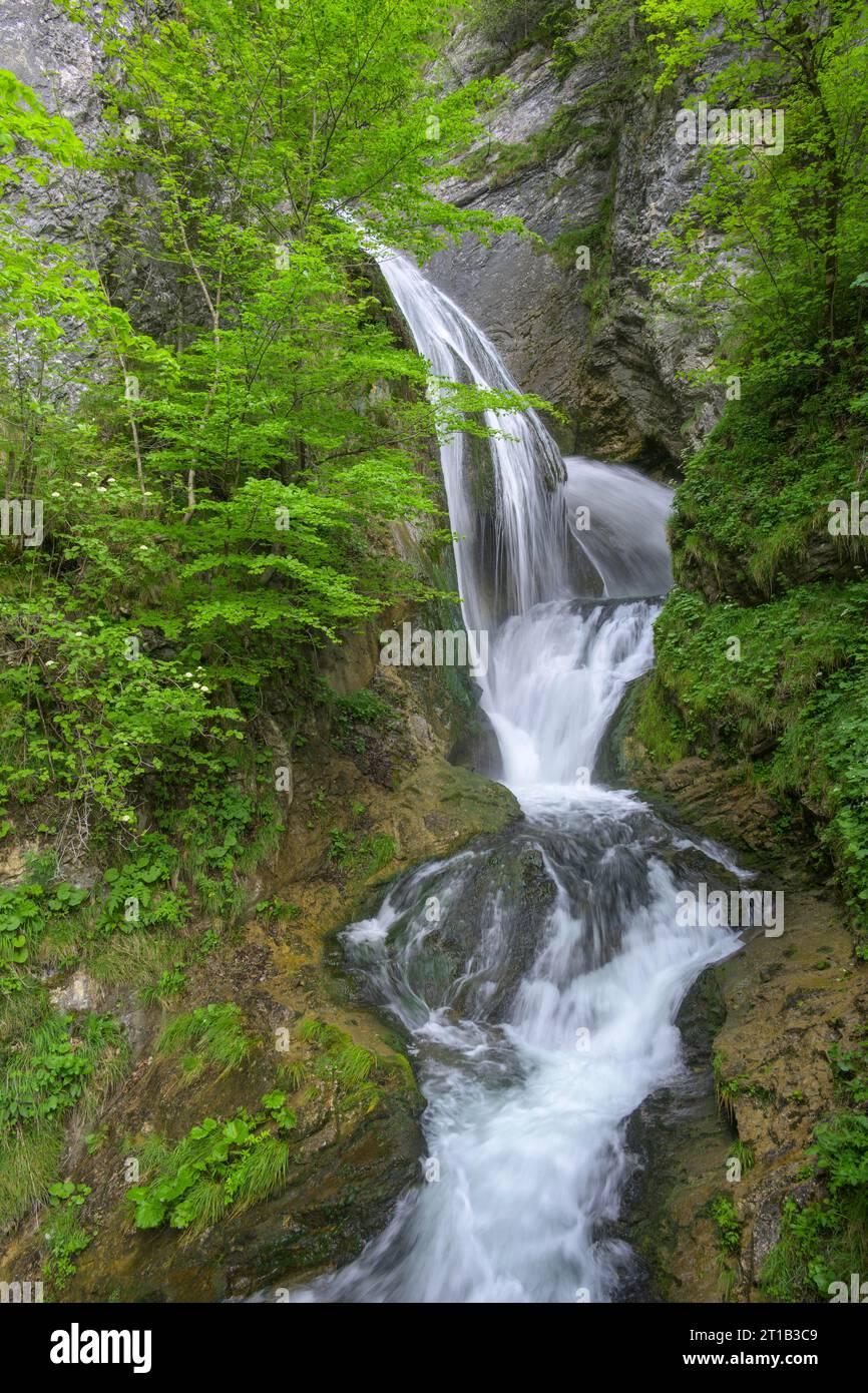 Trefflingfall, Puchenstuben, Lower Austria, Austria Stock Photo