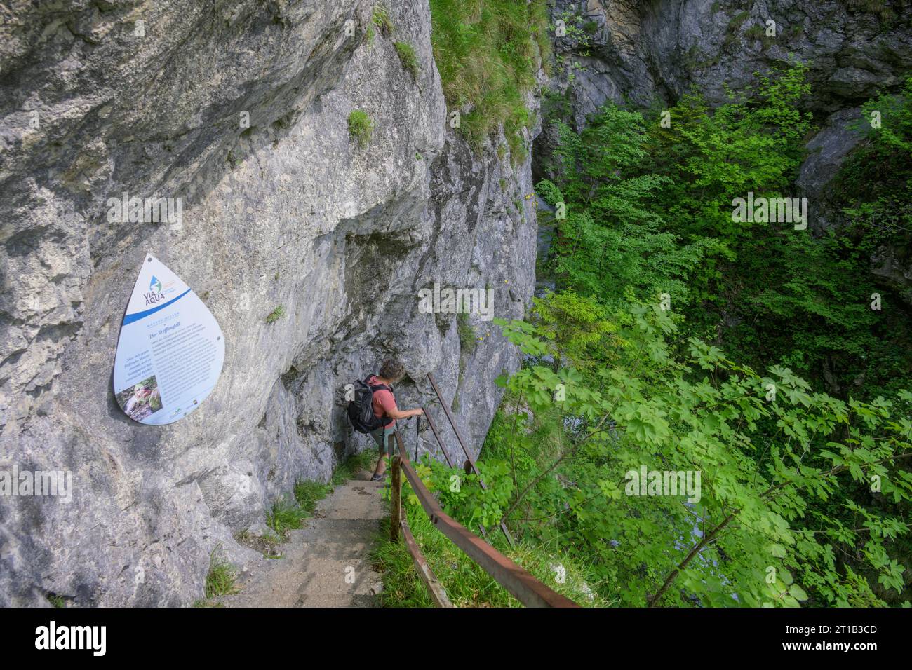 Climbing installation at Trefflingfall, Puchenstuben, Lower Austria, Austria Stock Photo