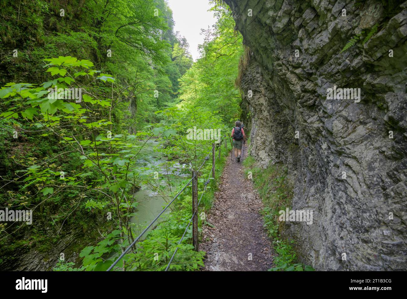 Climb above the Erlauf, Tormaeuer hike, Puchenstuben, Lower Austria, Austria Stock Photo