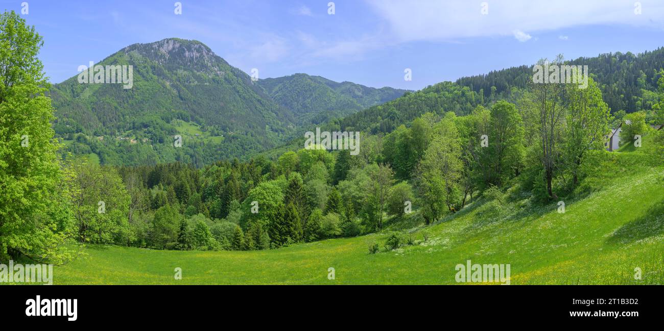 Meadows near the village of Nestelberg, Puchenstuben, Lower Austria, Austria Stock Photo