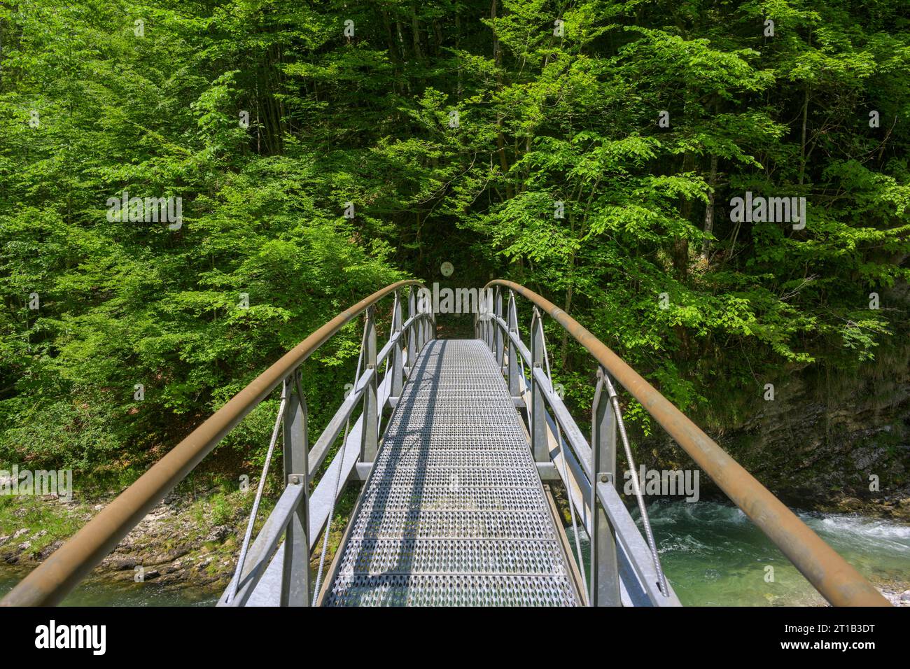 Bridge over the Erlauf, Tormaeuer hike, Puchenstuben, Lower Austria, Austria Stock Photo