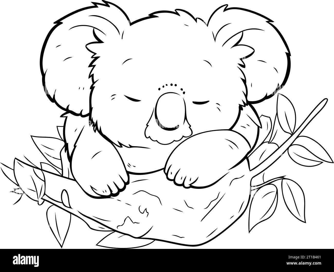 Koala sleeping on a branch of eucalyptus. Vector illustration Stock ...