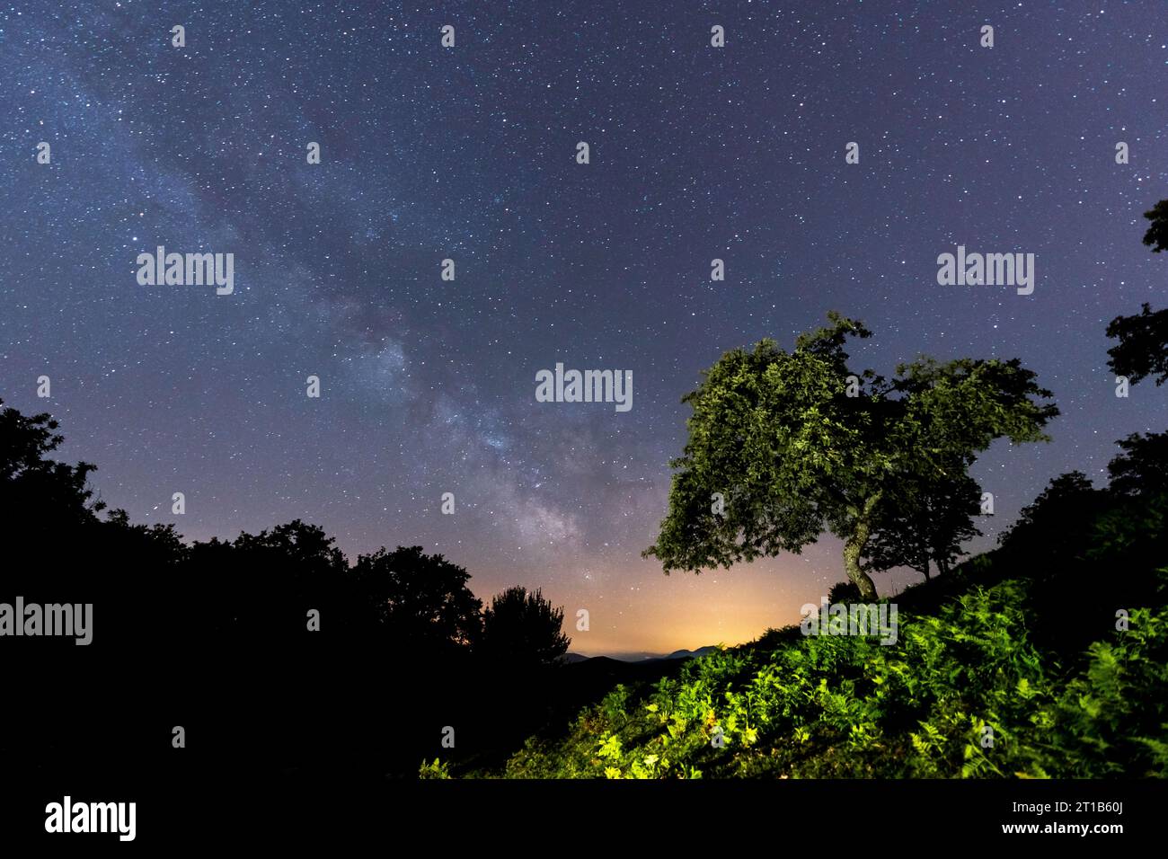 A beautiful tree under the beautiful Milky Way on Mount Erlaitz in the town of Irun, Guipuzcoa. Basque Country. Night photography in June Stock Photo