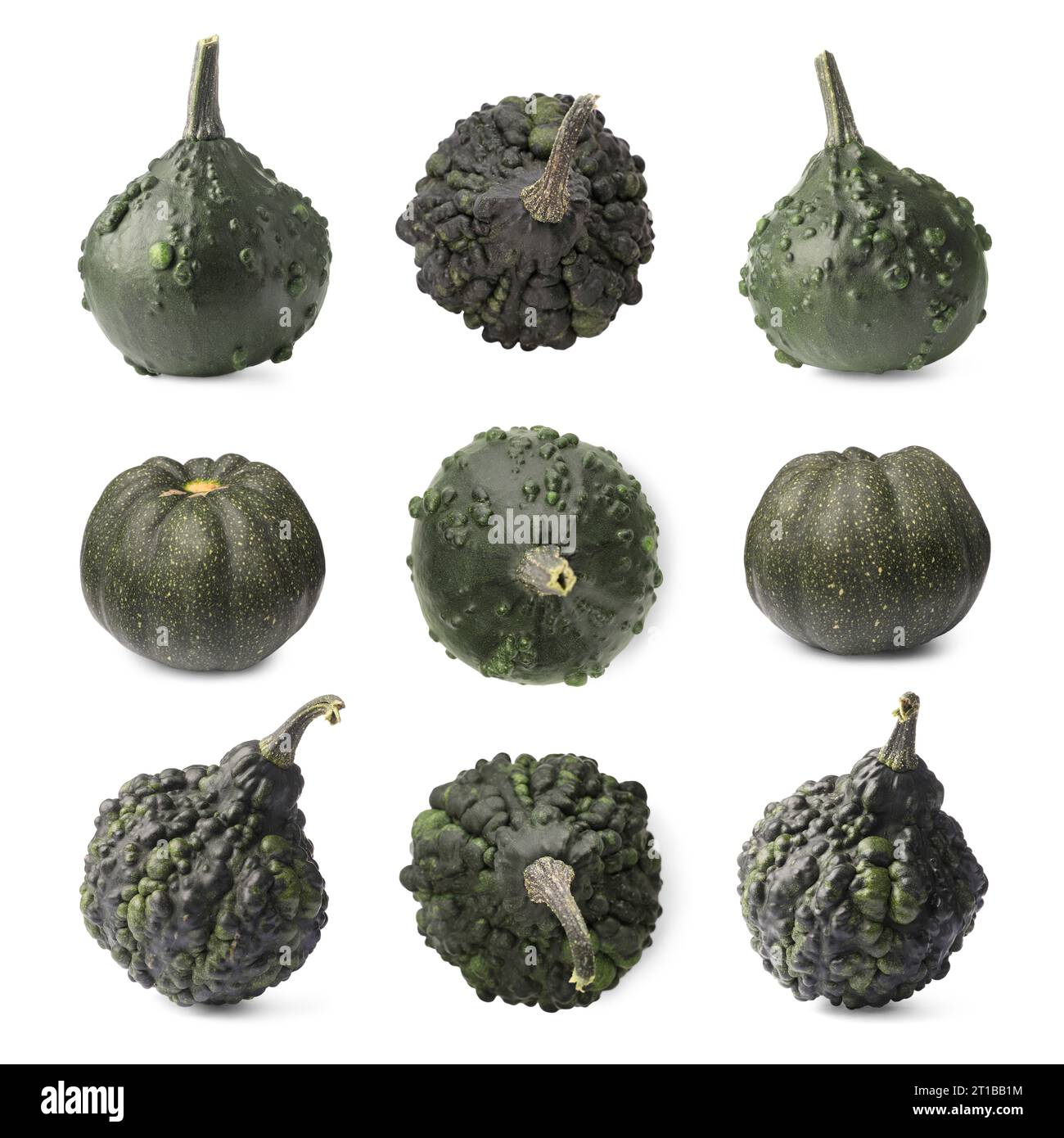 Set of different pumpkins isolated on white Stock Photo - Alamy