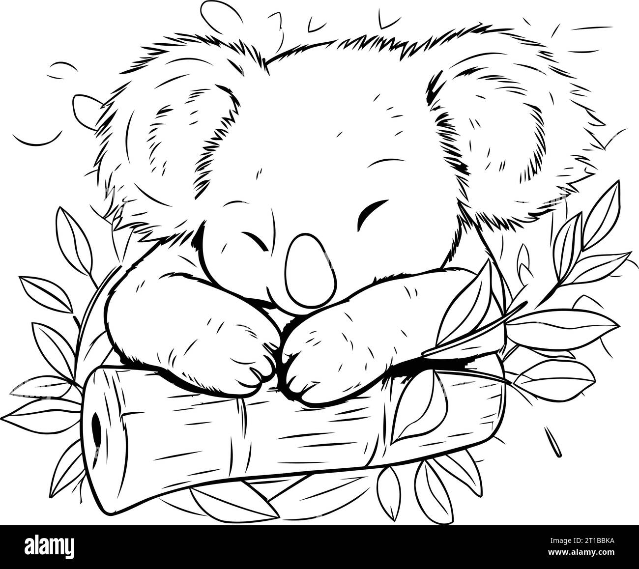 Cute koala sleeping on a branch. Hand drawn vector illustration Stock