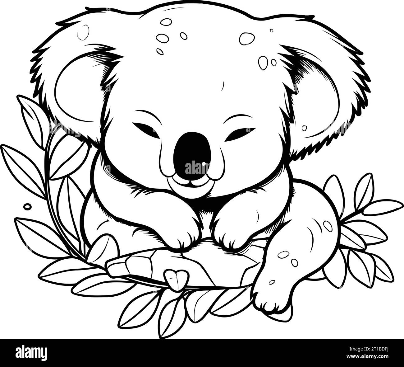 Cute koala sleeping on branch with leaves. vector illustration Stock