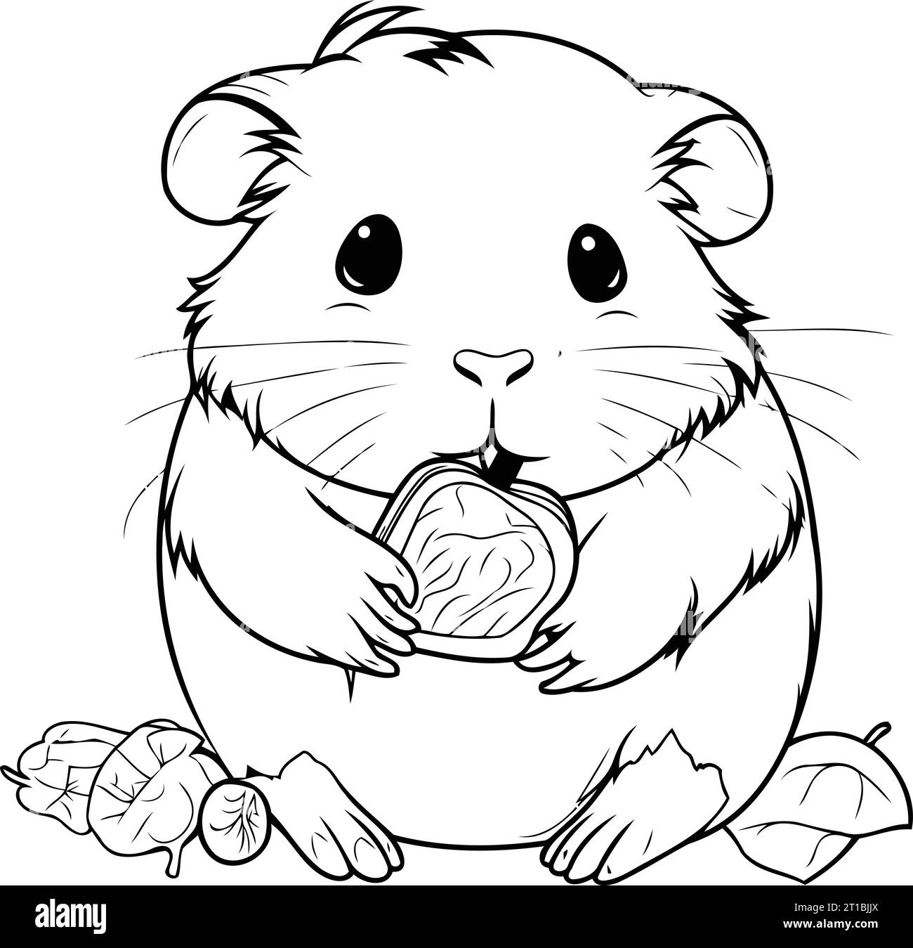 Hamster with an orange. Black and white illustration for coloring book Stock Vector Image & Art