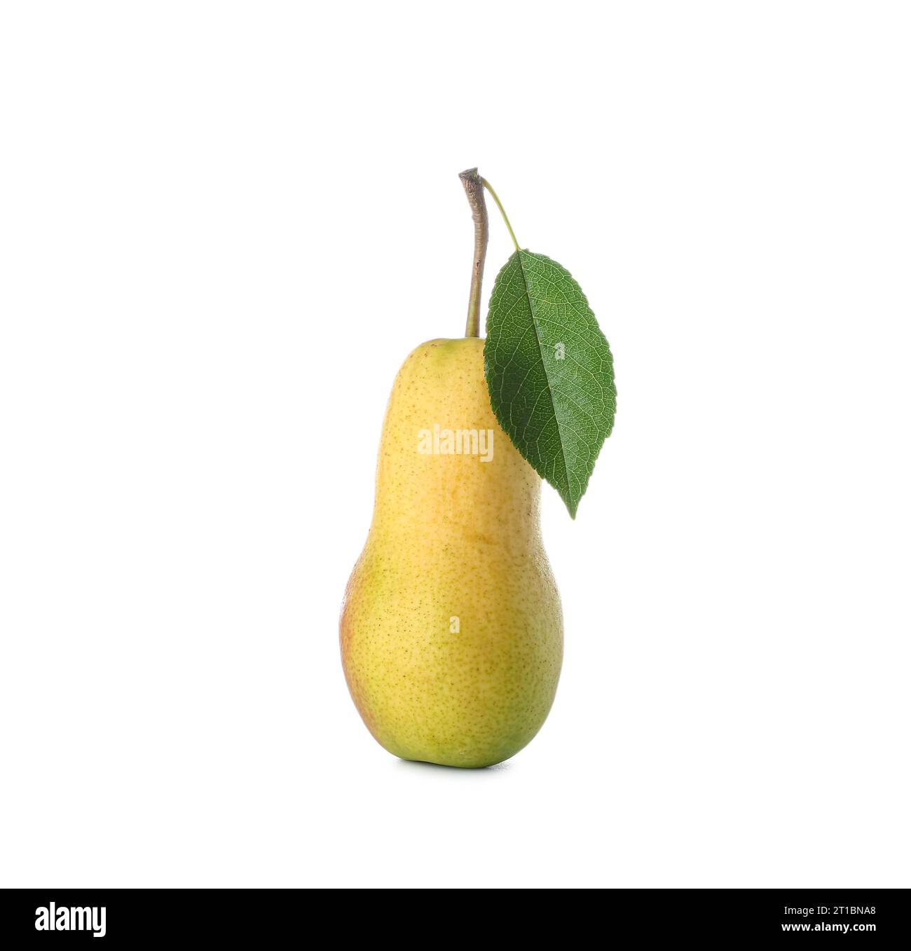 https://c8.alamy.com/comp/2T1BNA8/ripe-pear-isolated-on-white-background-2T1BNA8.jpg