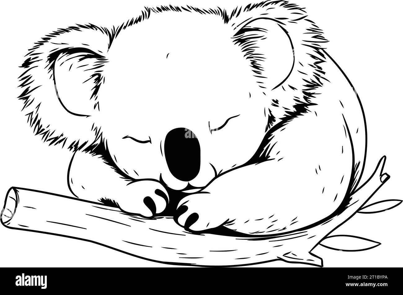 Cute koala sleeping on a tree branch. Vector illustration Stock Vector