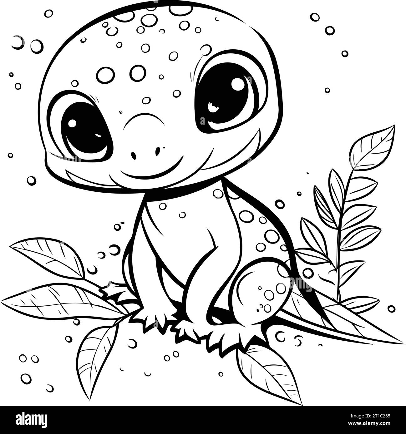 Cute Baby Turtle Coloring Pages Dragoart