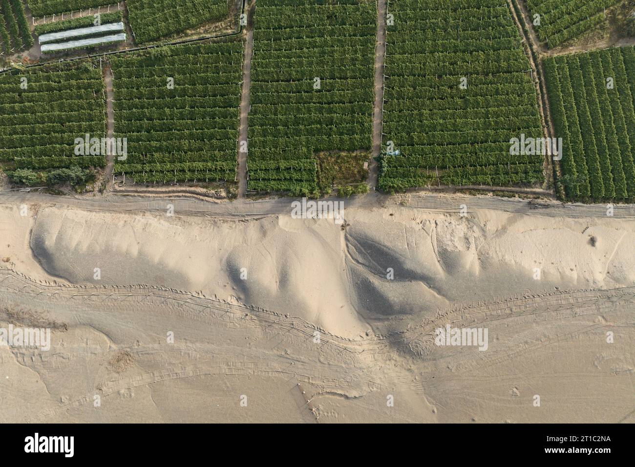 Photo of a vineyard in a desert landscape captured from above, Gansu - China Stock Photo