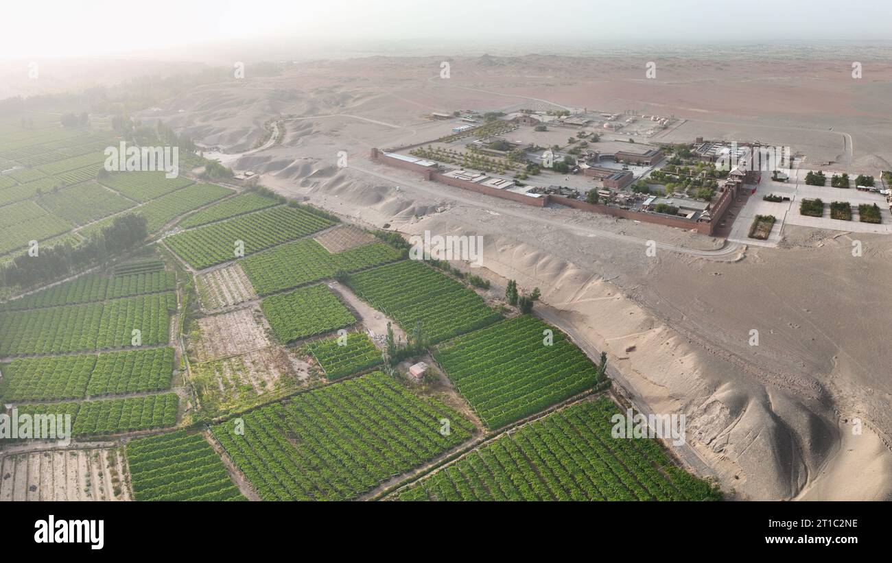 Photo of a vineyard in a desert landscape captured from above, Gansu - China Stock Photo