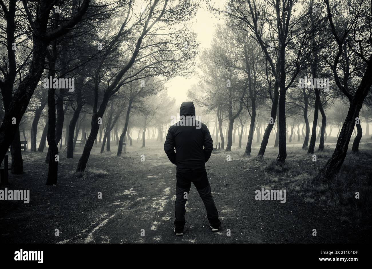 Man walking foggy dark forest hi-res stock photography and images - Alamy