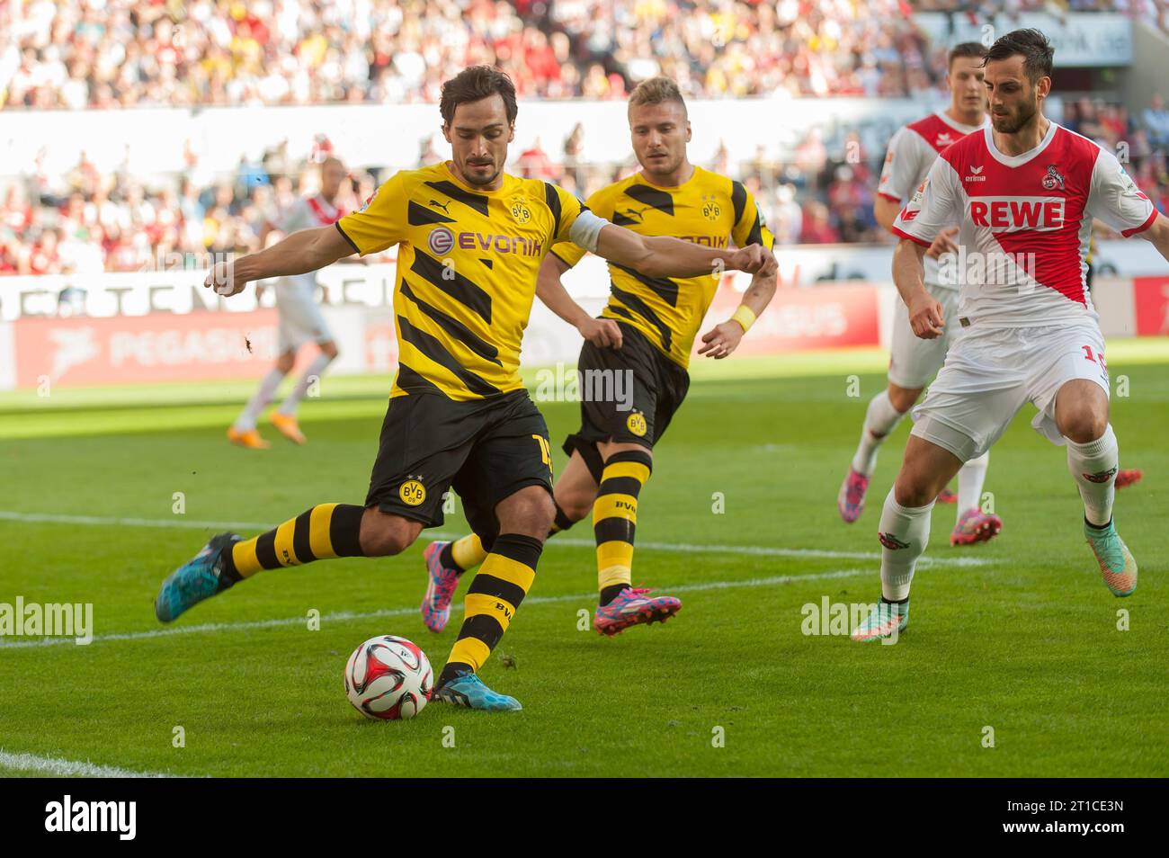 Mats Hummels (15 - Borussia Dortmund) und Ciro Immobile (9 - Borussia Dortmund) gegen Mergim Mavraj (19 - 1.FC Koeln) 1.FC Koeln - Borussia Dortmund 2:1 in Koeln, Deutschland am 18.10.2014 Stock Photo