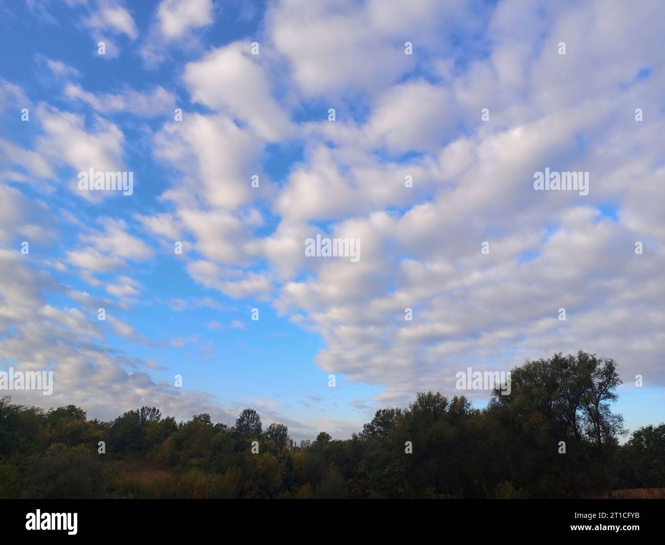 Tree trees horizon cloud hi-res stock photography and images - Alamy