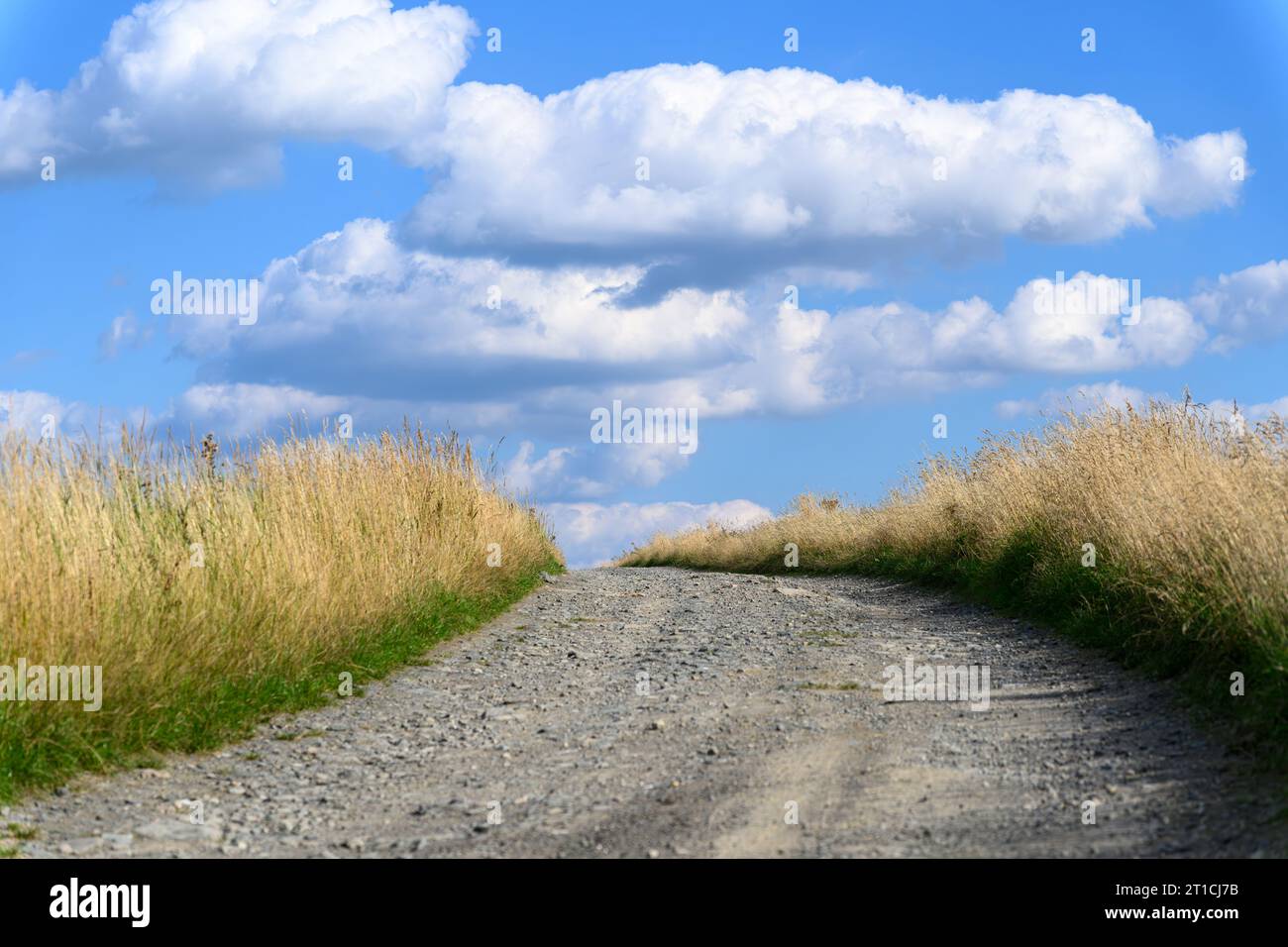 A dirt road along to the blue sky with white clouds Stock Photo - Alamy