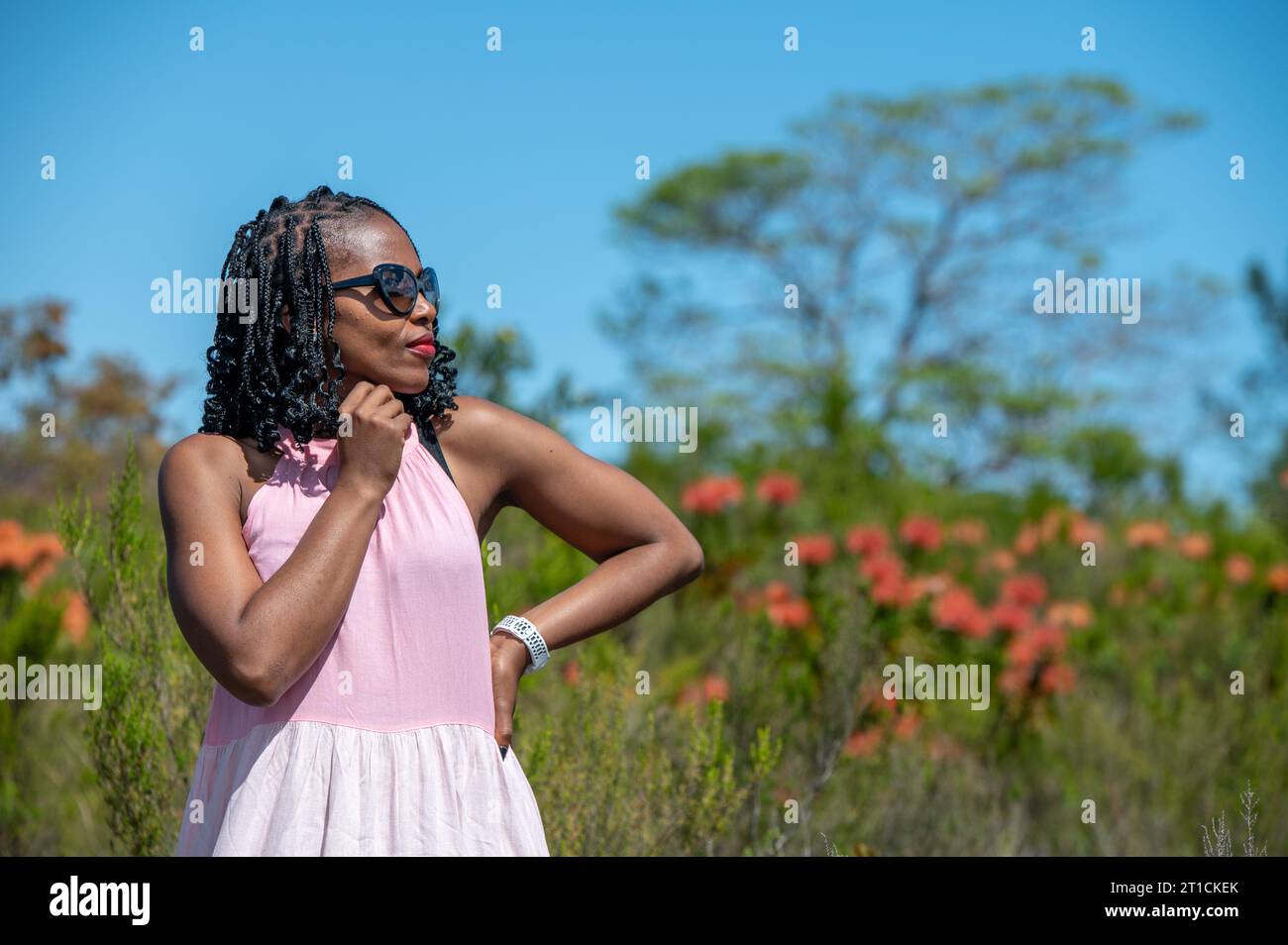 Black woman braids standing hi-res stock photography and images - Alamy
