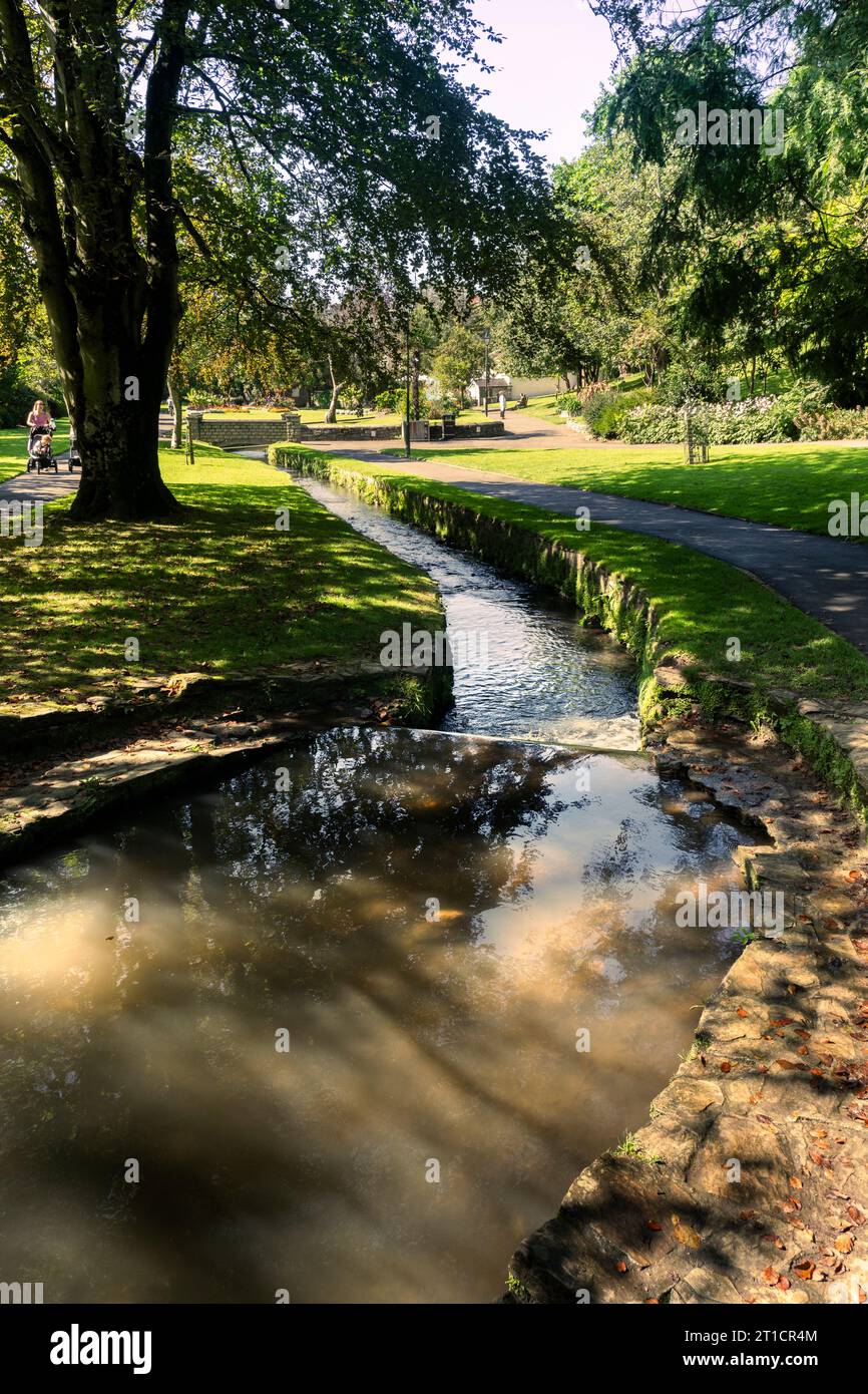 A  small river stream flowing through the landscaped Trenance Gardens in Newquay in Cornwall in the UK. Stock Photo