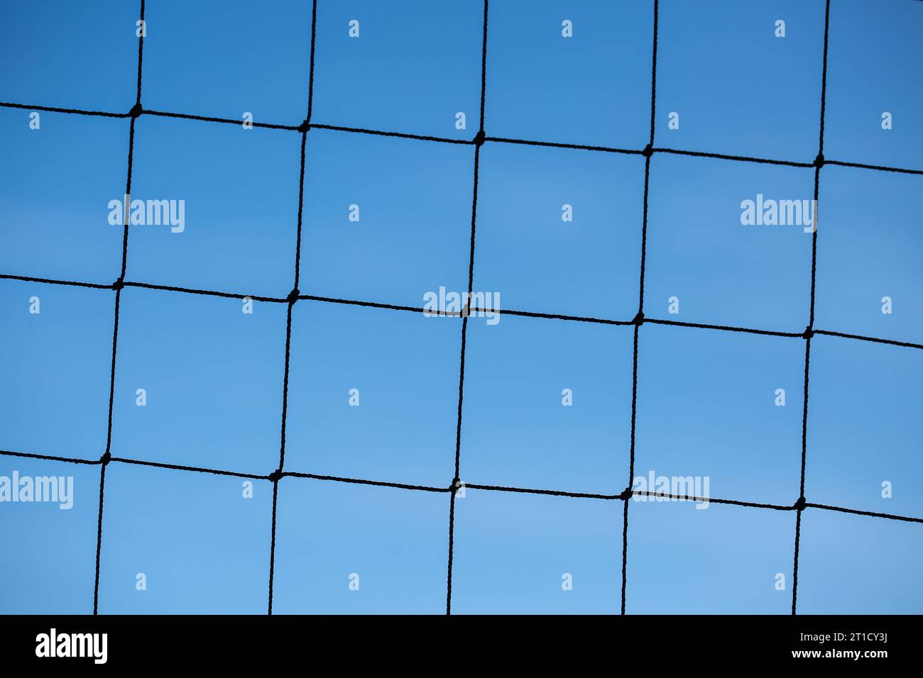 Pigeon deterrent net, pigeon protection Stock Photo Alamy
