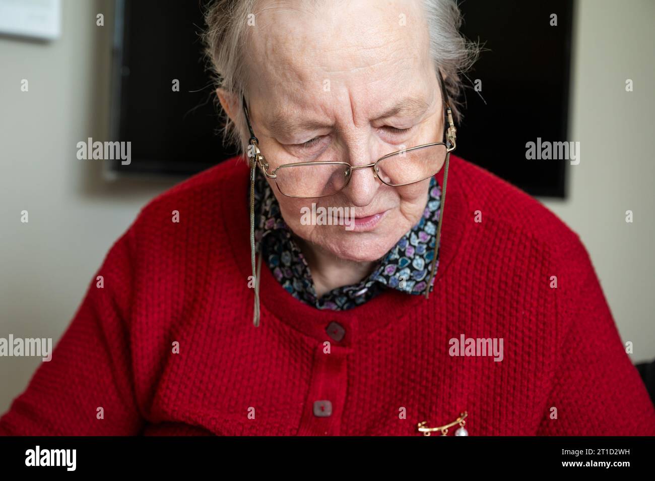 85 yo grandmother reading at home, Tienen, Flanders, Belgium Stock Photo
