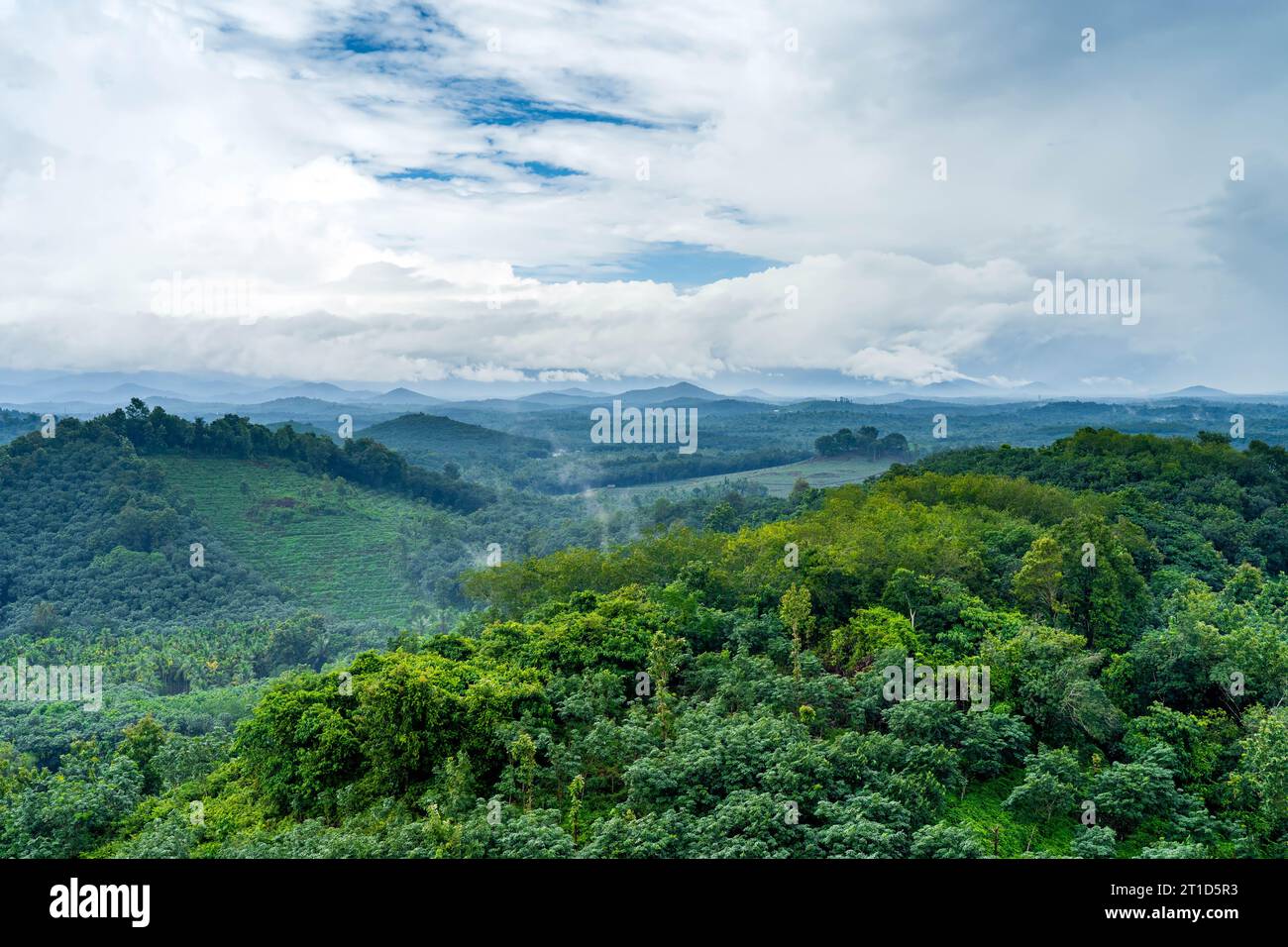 Kurishu Paara is a mountain located in Edivanna village around 15 km ...