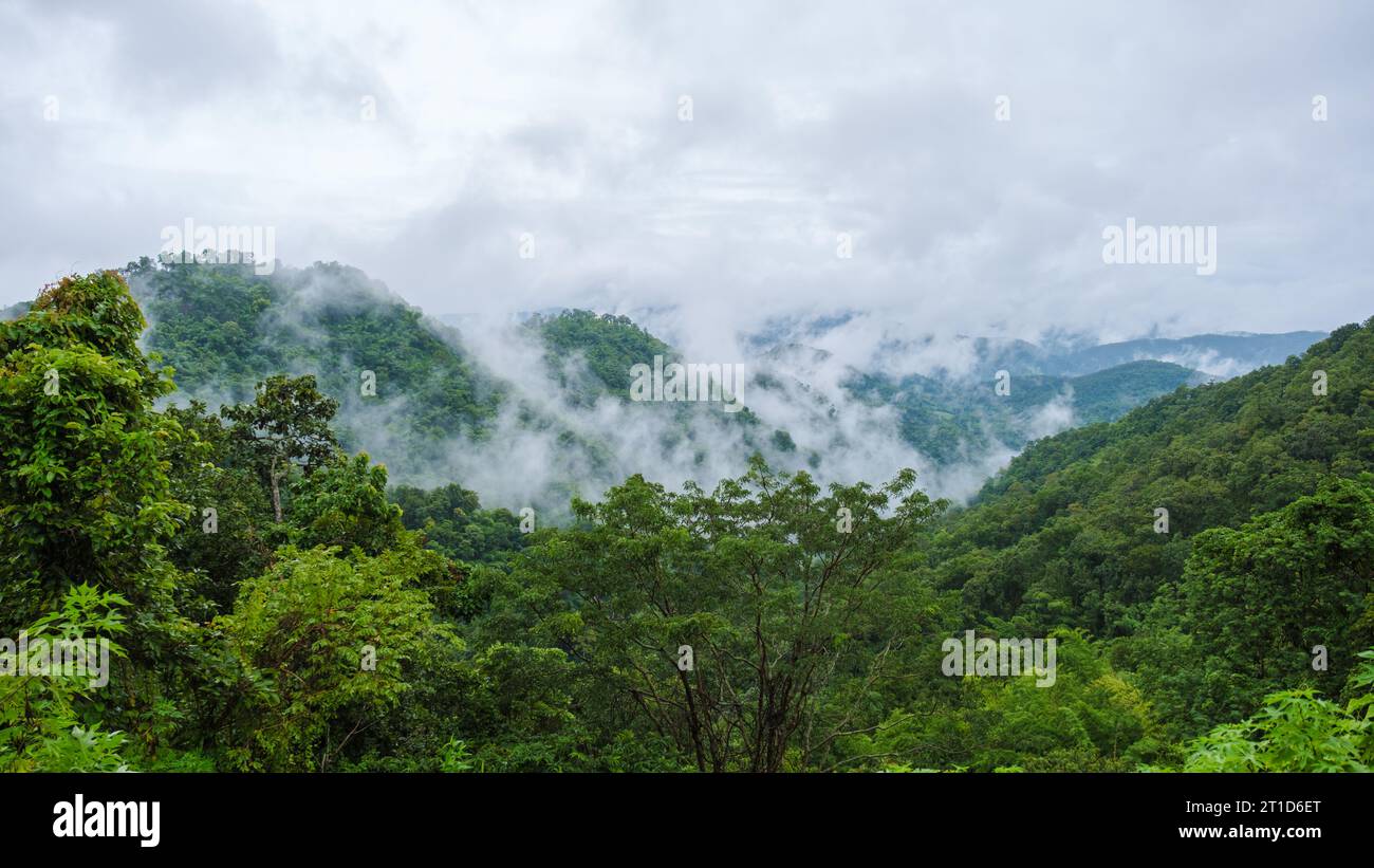 Doi Luang Chiang Dao mountain hills in Chiang Mai, Thailand. Nature landscape in travel trips and vacations. Doi Lhung Chiang Dao Viewpoint with clouds mist and fog during rain season Stock Photo