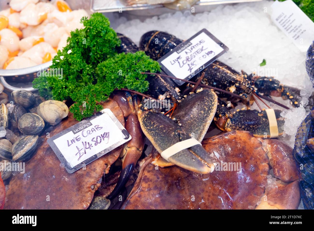 Fresh crab and lobster display on ice for sale at Moxon's Fishmongers