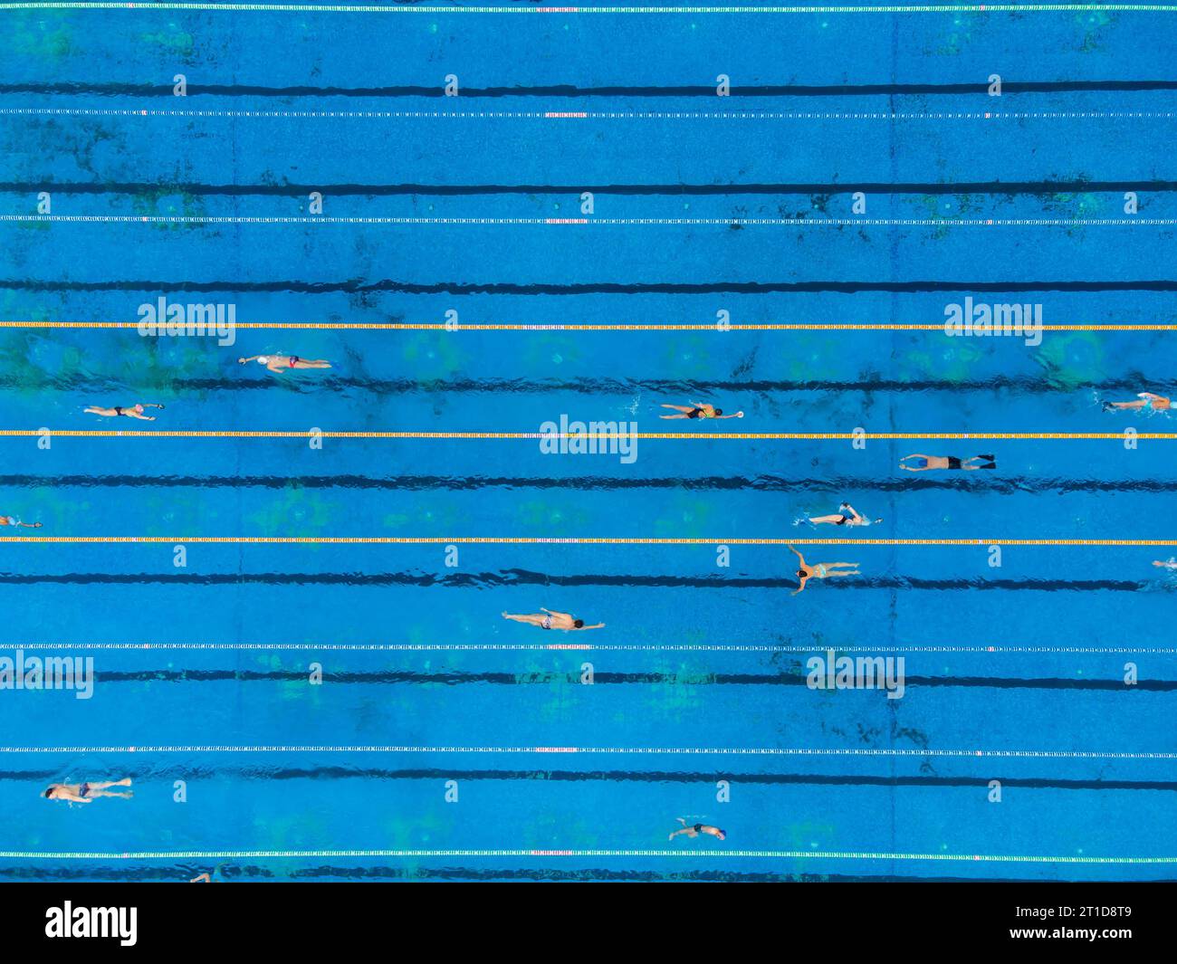 Swimmers training in pool top hi-res stock photography and images - Alamy