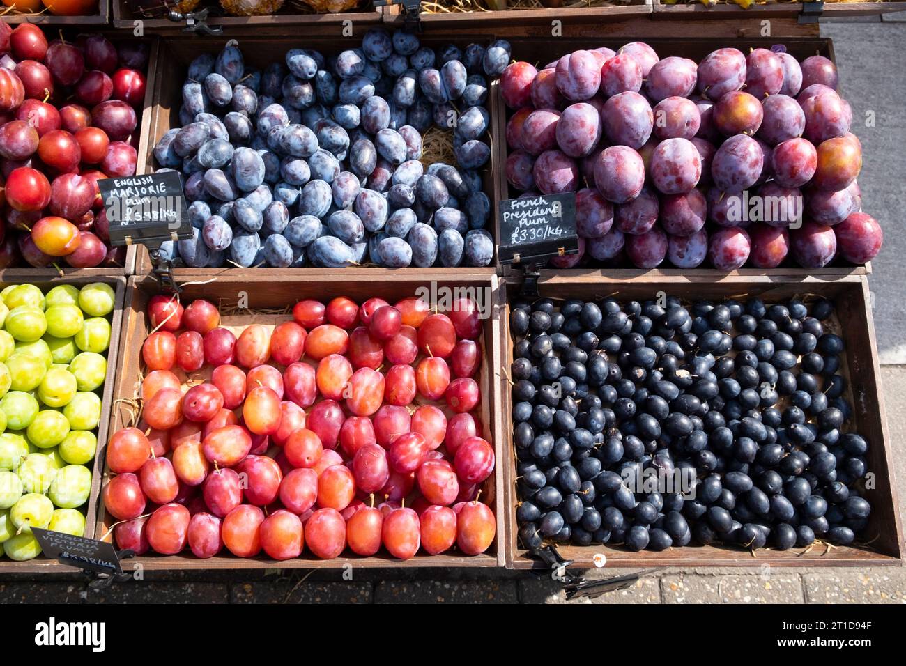 Crates of varieties of plums damsons for sale on display at greengrocer