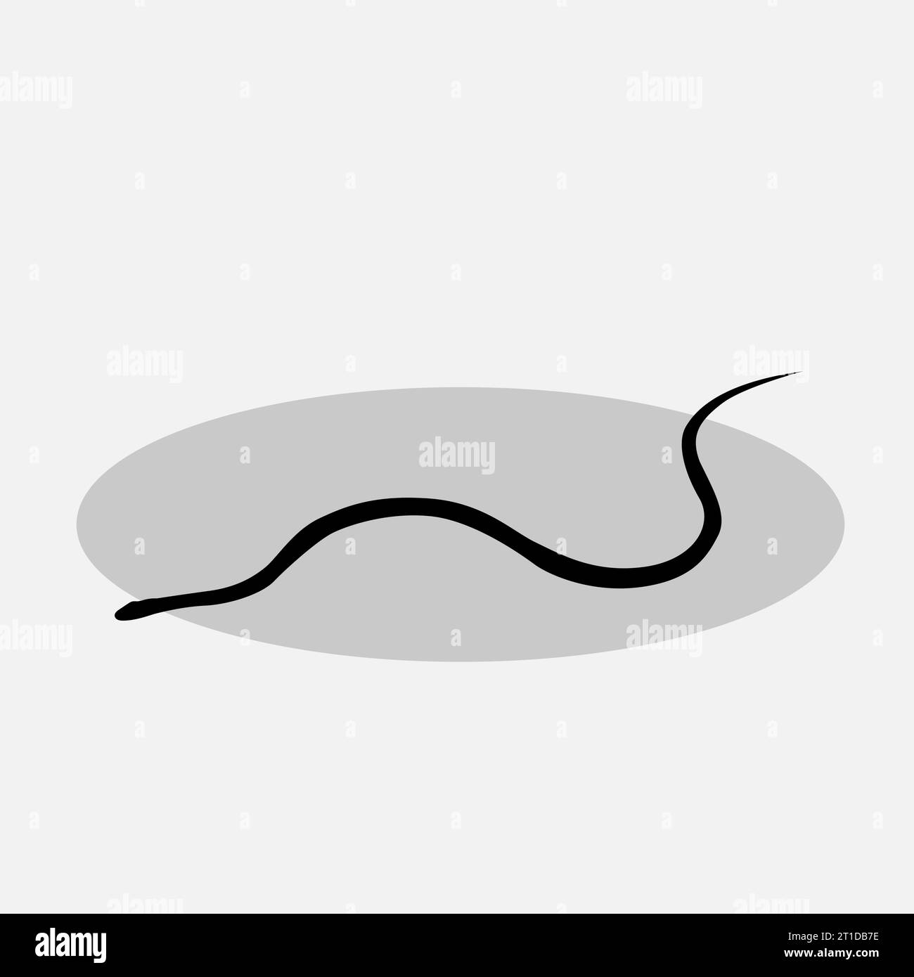 Snake Vector Png Stock Vector Image Art Alamy