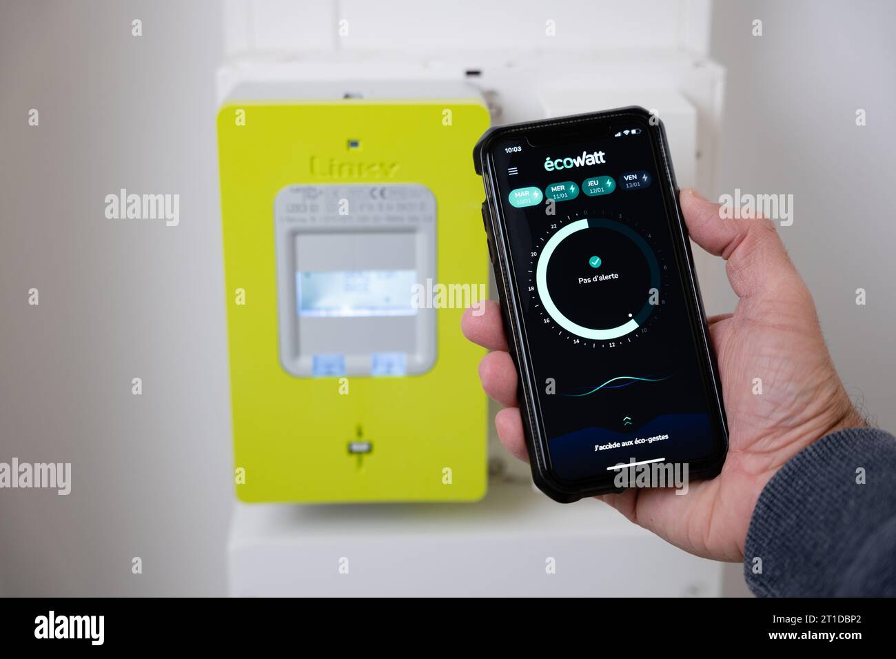 The EcoWatt mobile app for better electricity consumption; Ecowatt