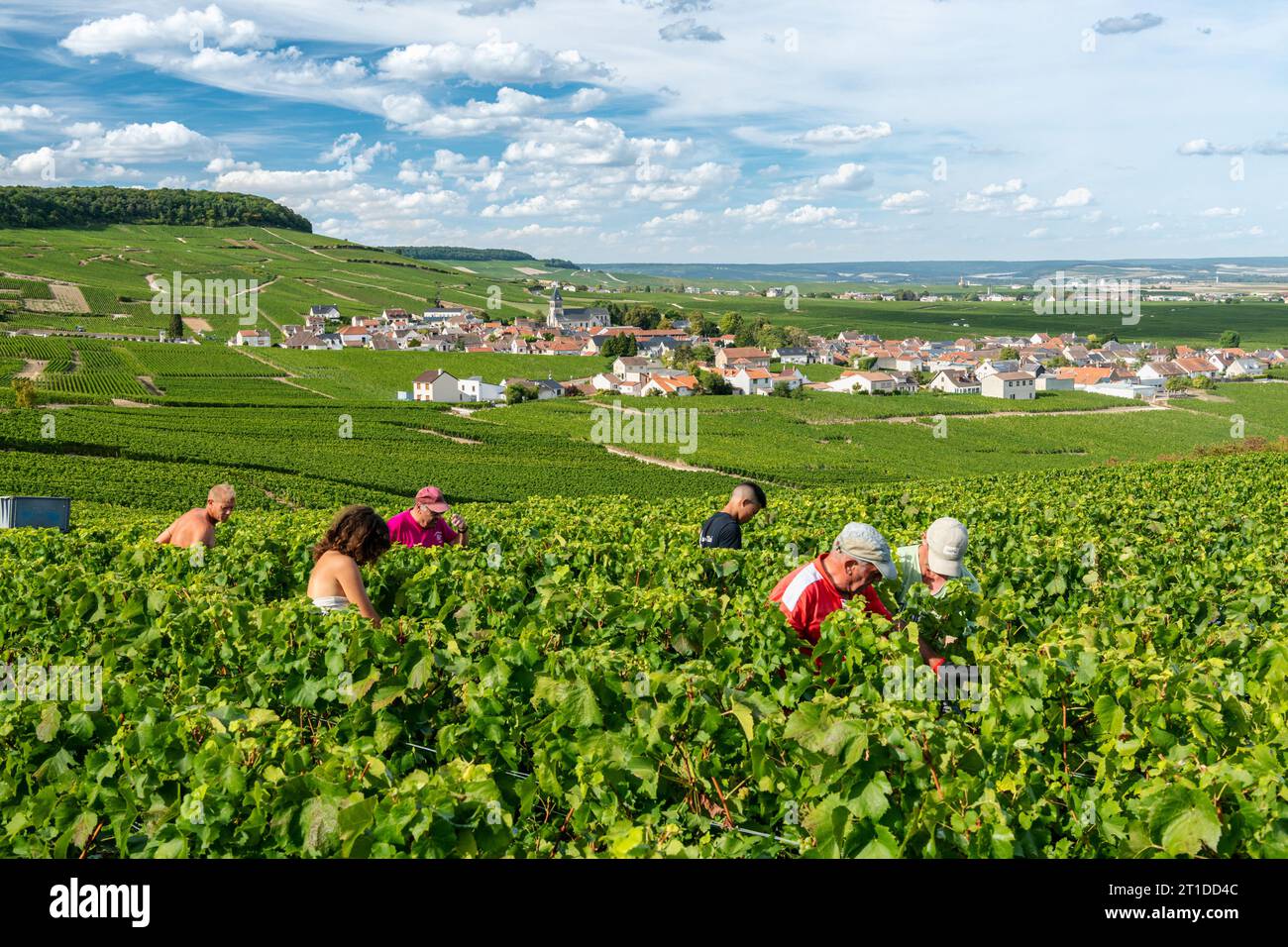 Village champagne villages france hires stock photography and images Alamy