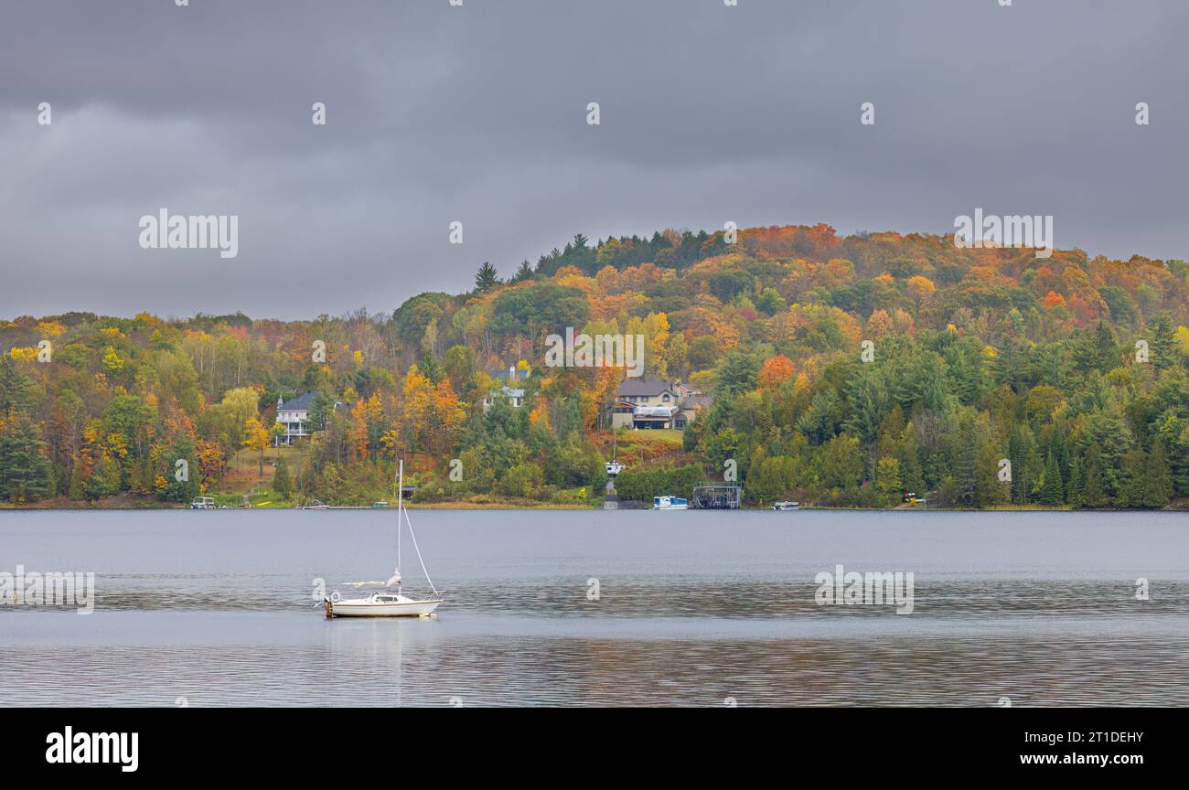 Fall colours along the Gatineau river reflected in water, Quebec, Canada Stock Photo