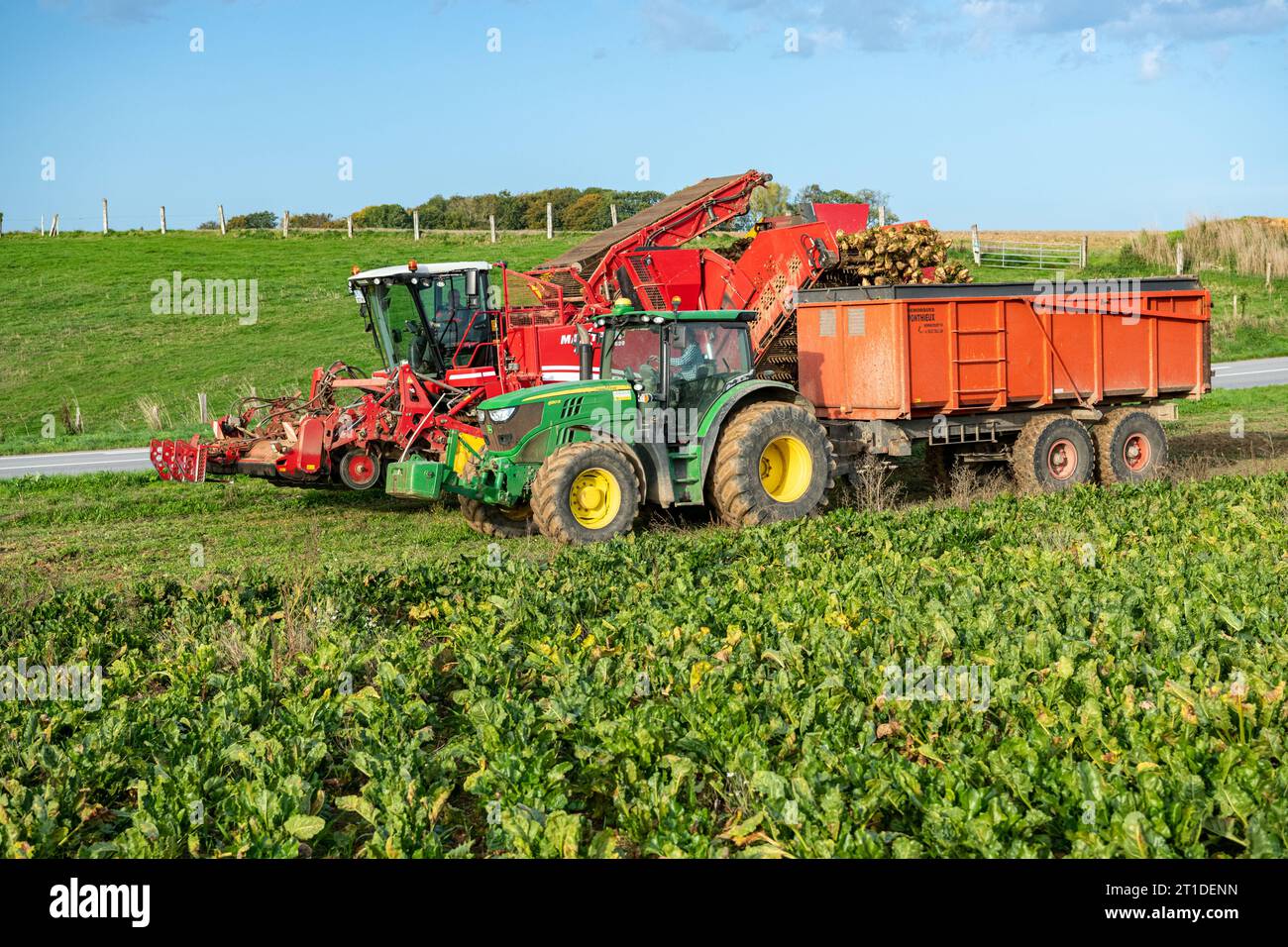 Grimme Maxtron sugar beet harvester for use on steep, greasy fields Stock Photo