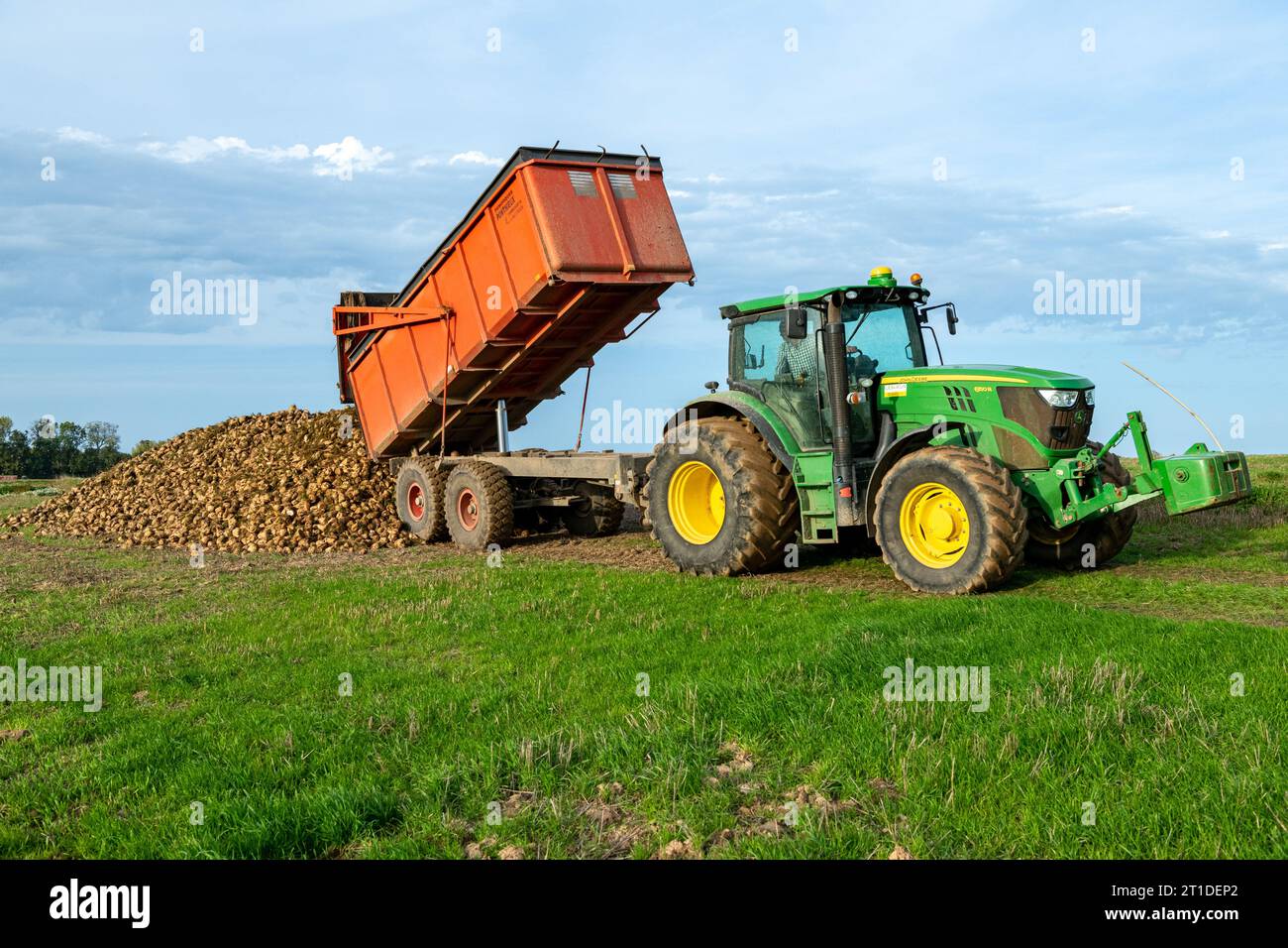 Grimme Maxtron sugar beet harvester for use on steep, greasy fields Stock Photo