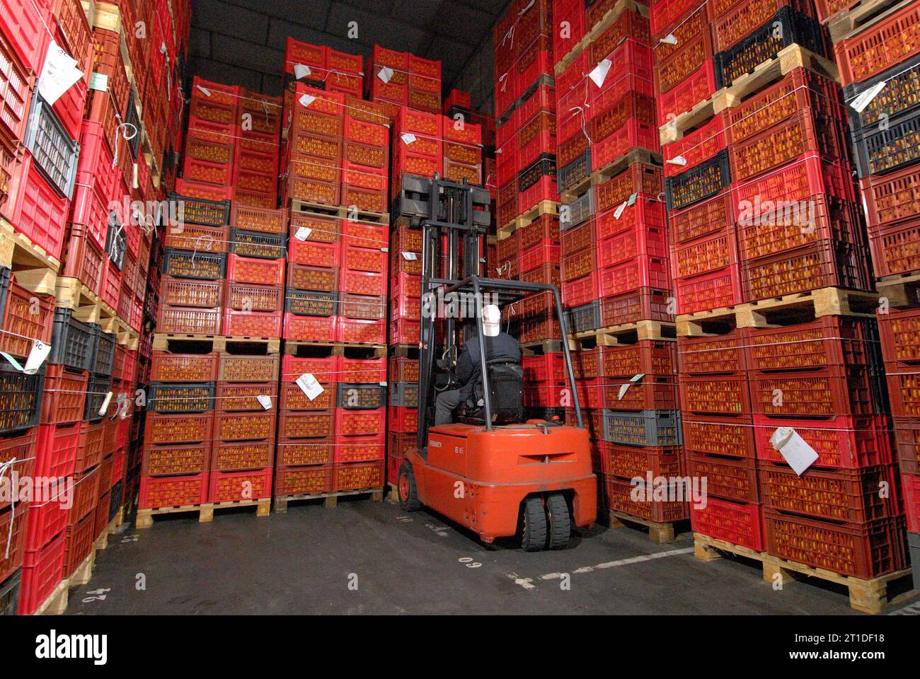 Apricot Storage Cold storage warehouse forklift hi-res stock photography and images - Alamy