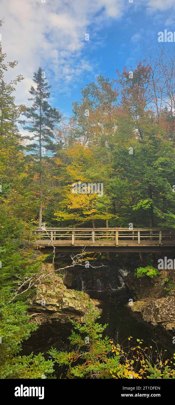 Victoria Park is a 3,000-acre natural woodland urban park in the center ...