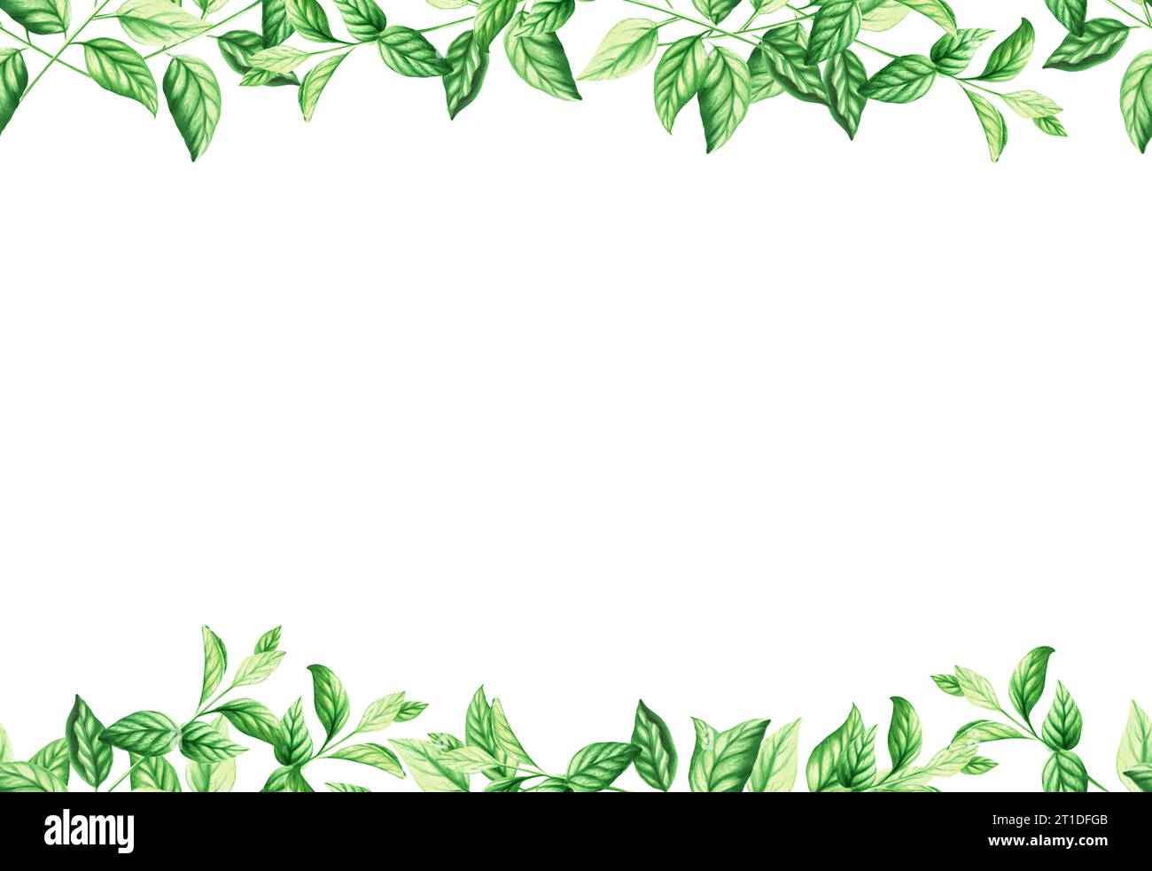 Watercolor seamless border and frame with fresh peppermint leaves ...