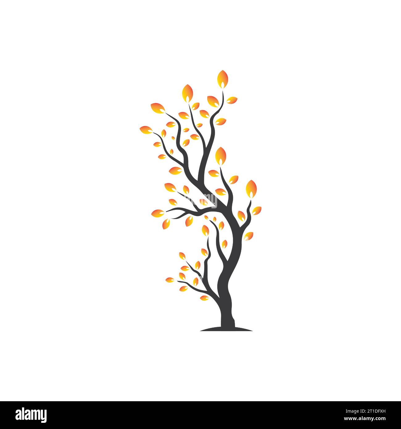 Vector branch , Hand drawn illustration of tree branch design template ...