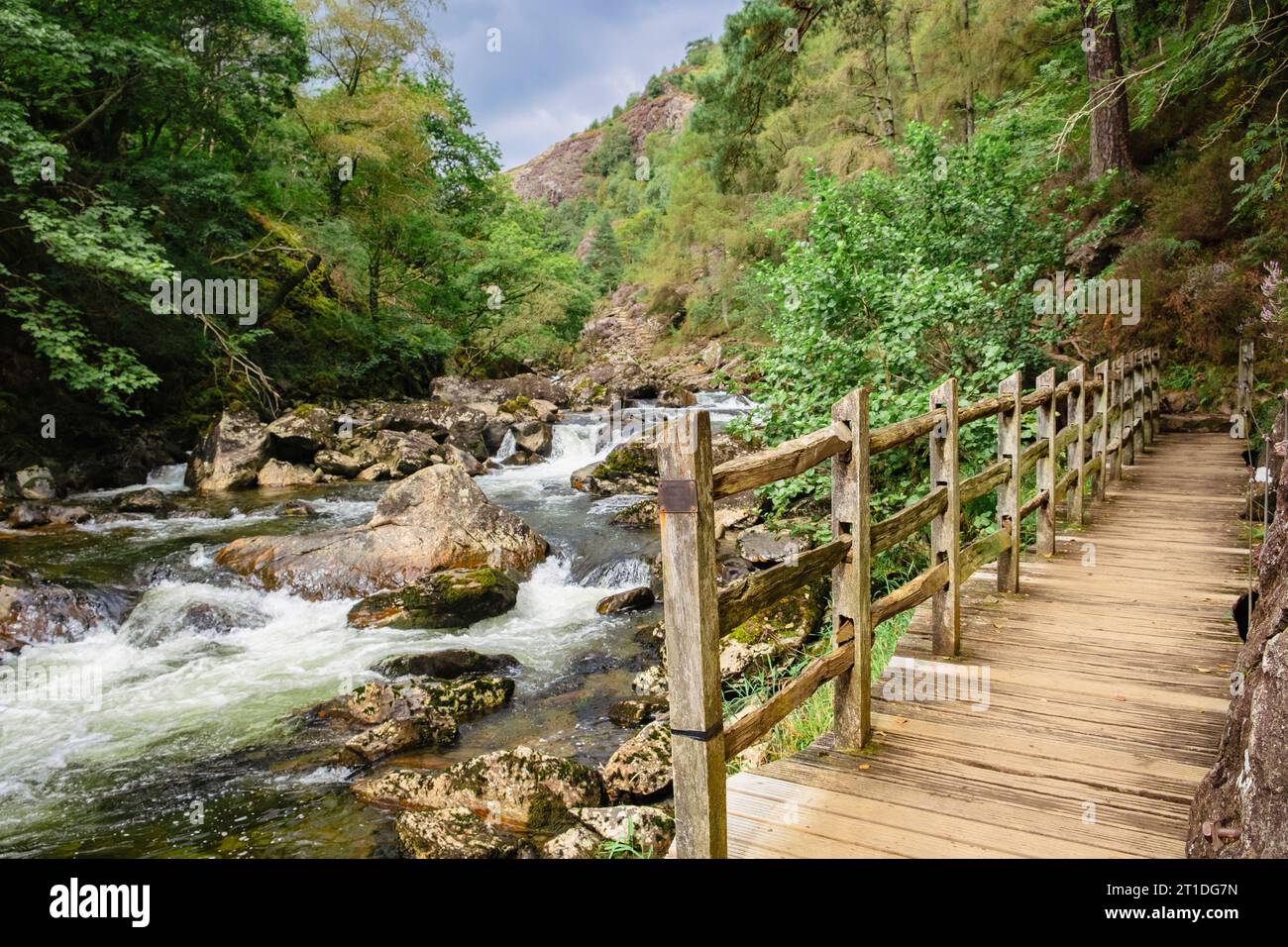 View along boardwalk path beside Afon Glaslyn River in Aberglaslyn Pass in Snowdonia National Park. Beddgelert, Gwynedd, North Wales, UK, Britain Stock Photo