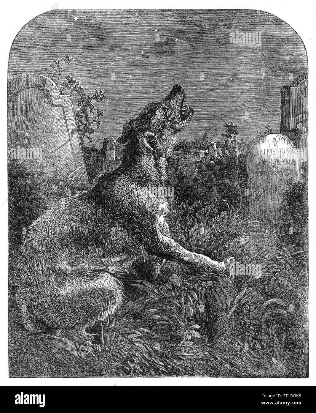 &quot;The Poor Man's Grave&quot;, 1860. '...Mr. Routledge has commenced the issue of his usual series of magnificent gift-books. This is a volume got up in the very first style of richness and ornamentation...and crowded with illustrations to poems selected by the author. The artists who have been chosen to deal with the subjects are familiar for their excellence, being John Gilbert, J. Wolf, Harrison Weir, J. D. Watson, &amp;c.; while the execution of the engravings has been committed to the trusty hands of the Messrs. Dalziel... &quot;The Poor Man's Grave. There is not one of kindred clay To Stock Photo